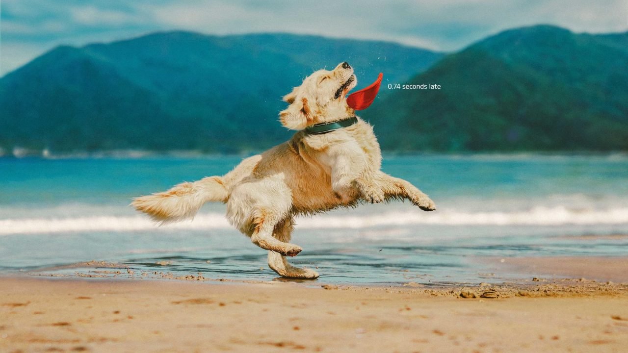 KIA | KIA's New Ad | muse.world