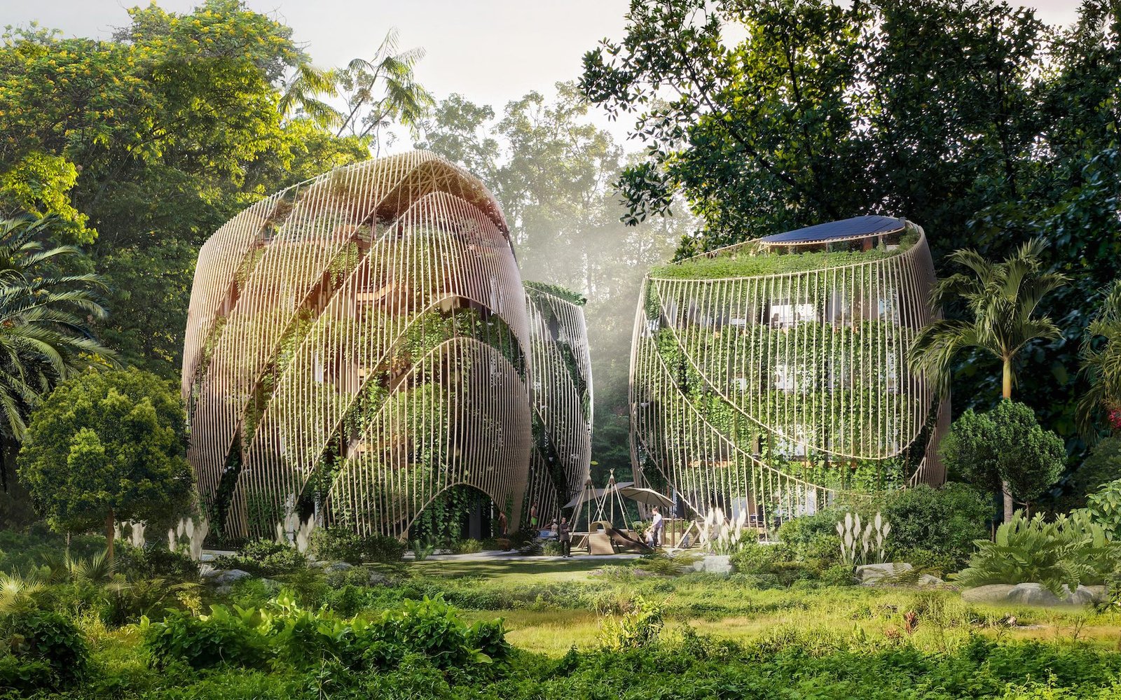 Living The Noom | MUSE Design Awards