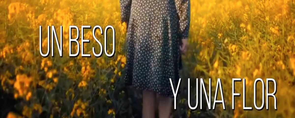 Un Beso y una Flor