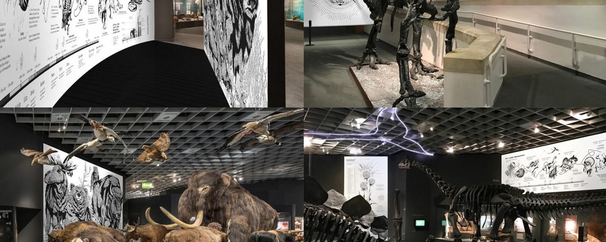 Lazaruseffekt | Germany's Campaign Awareness of the Flora and Fauna
