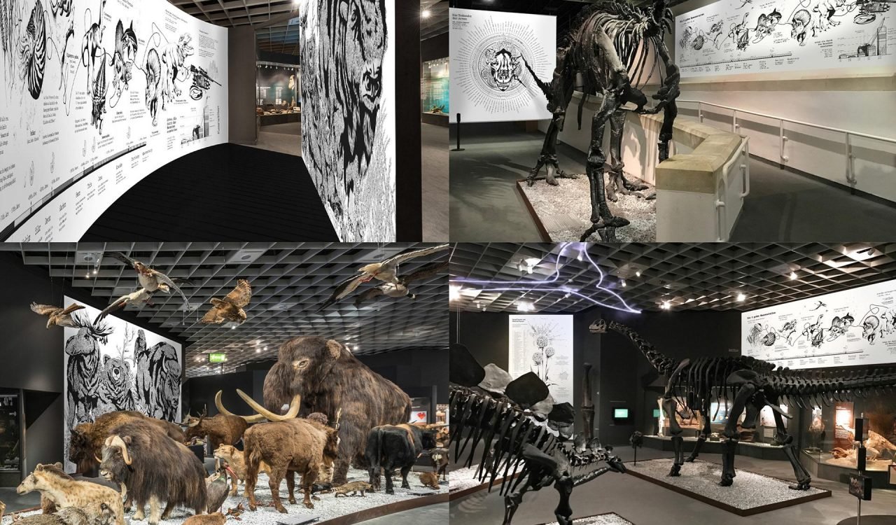 Lazaruseffekt | Germany's Campaign Awareness of the Flora and Fauna