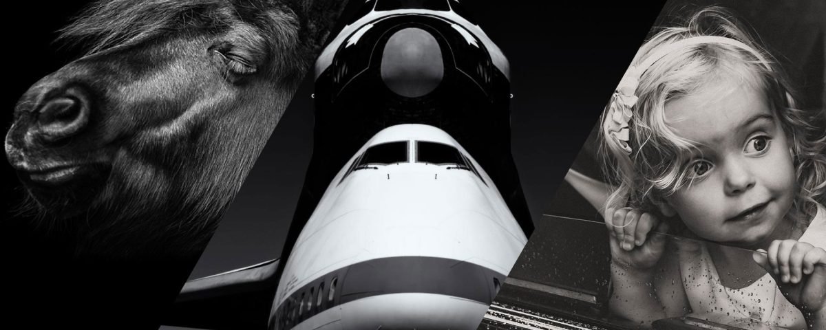 The Beauty of Black and White | MUSE Photography Awards