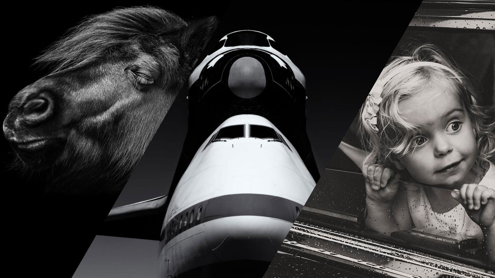 The Beauty of Black and White | MUSE Photography Awards