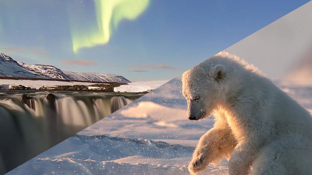 MUSE Photographer of the Year | MUSE Photography Award