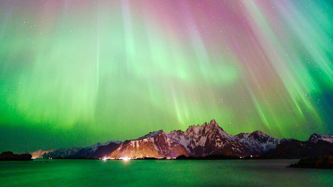 Aurora Butterfly