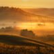 Tuscany Morning
