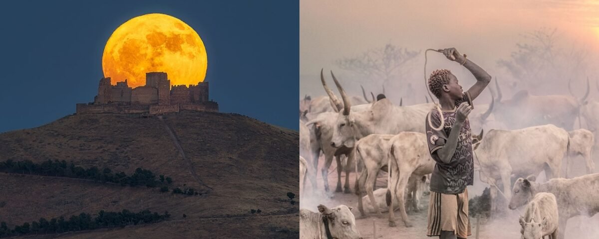 European Photography Awards' Photographer of the Year 2024