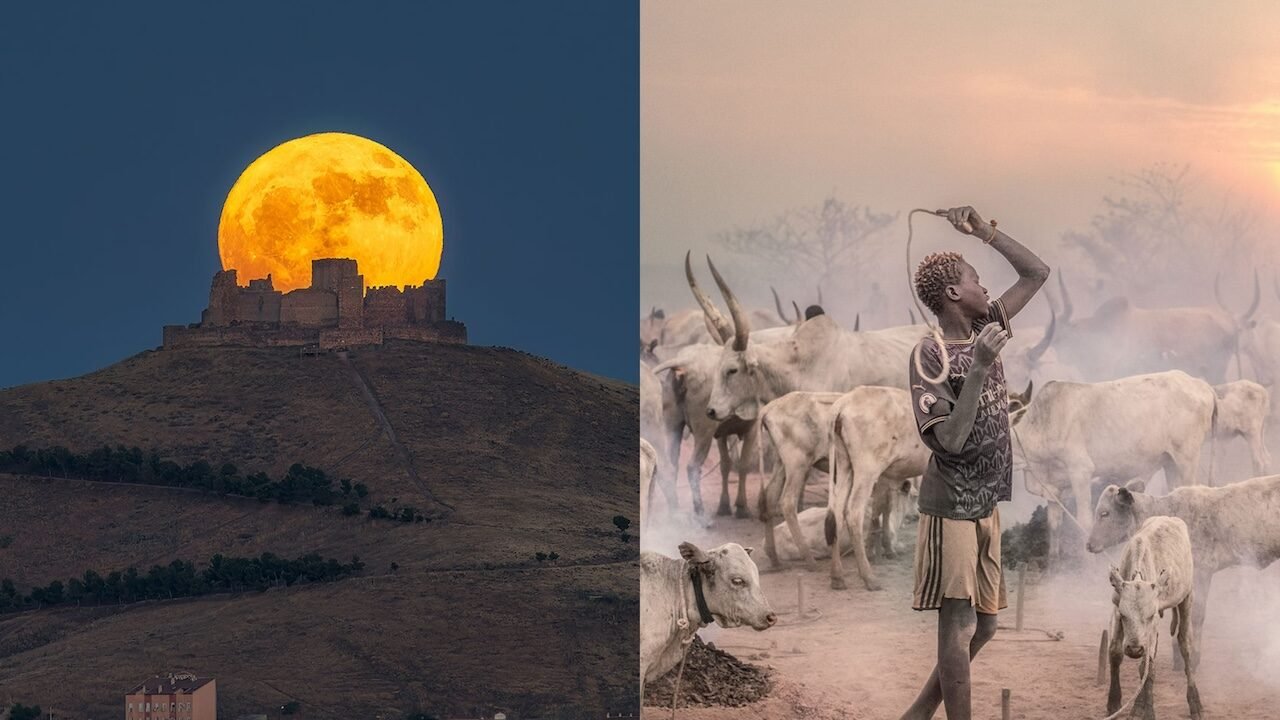 European Photography Awards' Photographer of the Year 2024