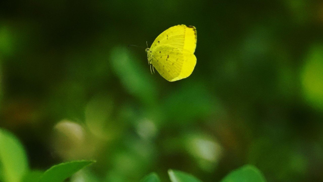 Tiny legs hanging | London Photography Awards