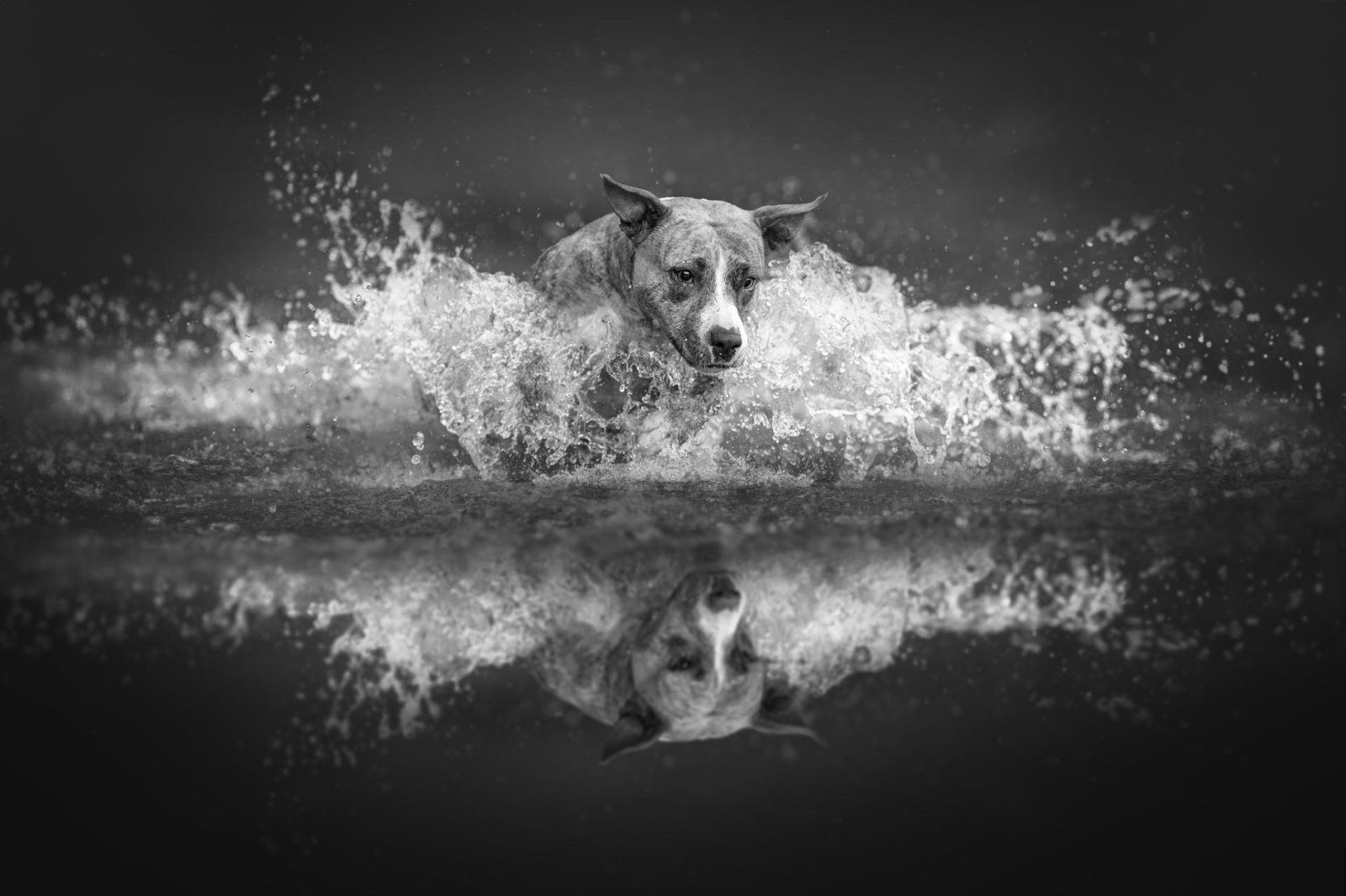 Force of Nature | Lucie Nermutova