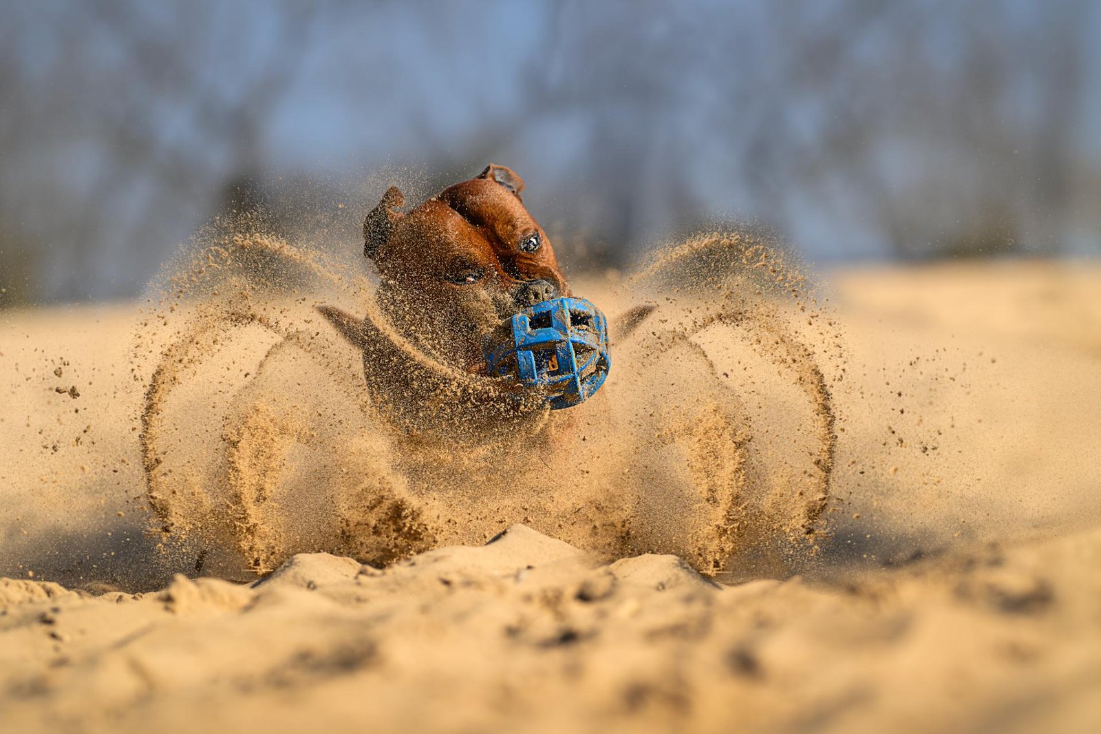 Sandstorm Spirit | Lucie Nermutova
