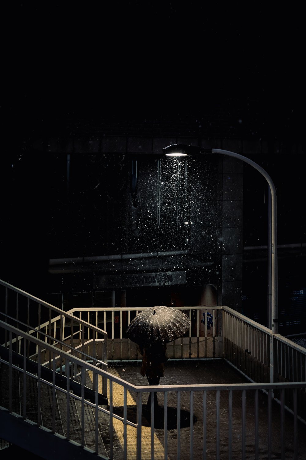 Silent Snow | 2025 London Photography Awards