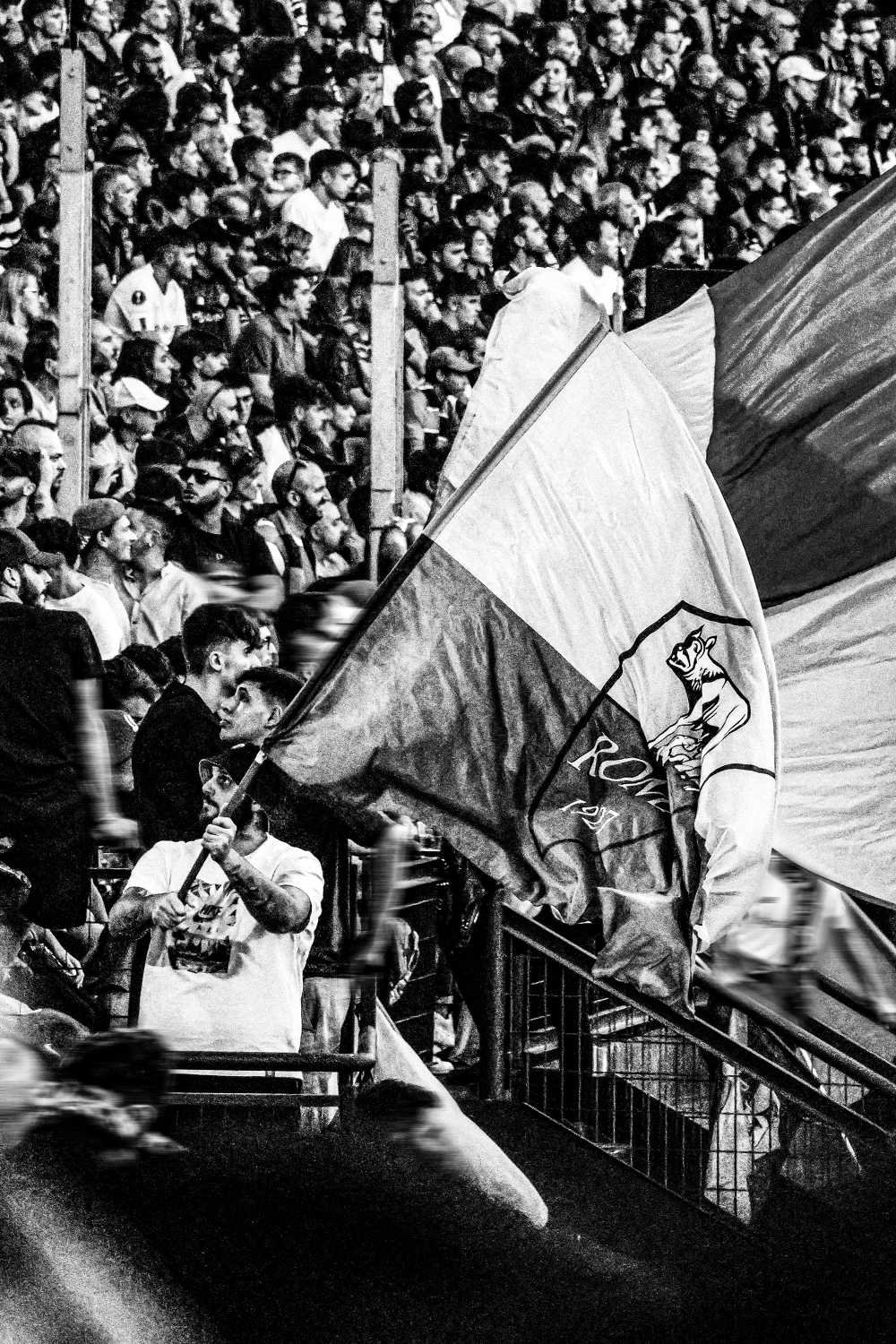 Stadium Fever
